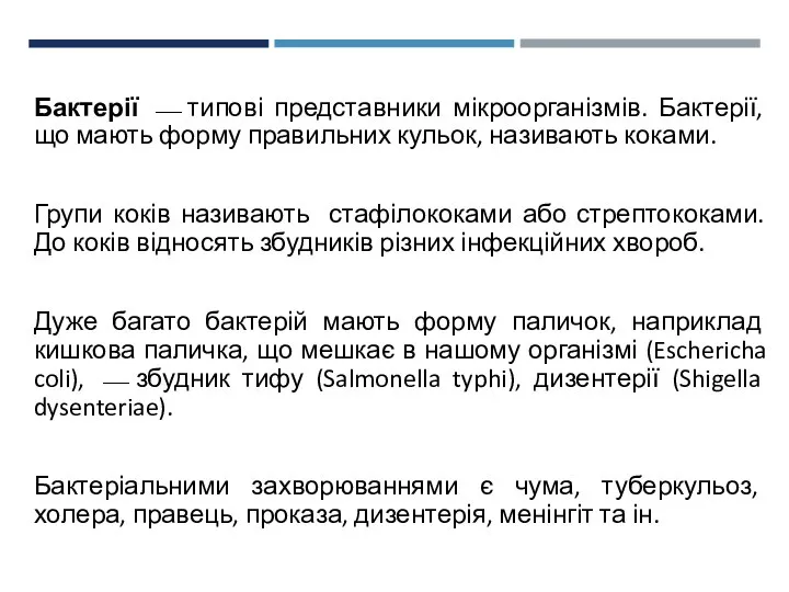 Бактерії ⎯ типові представники мікроорганізмів. Бактерії, що мають форму правильних кульок,