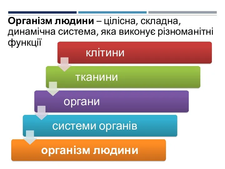 Організм людини – цілісна, складна, динамічна система, яка виконує різноманітні функції