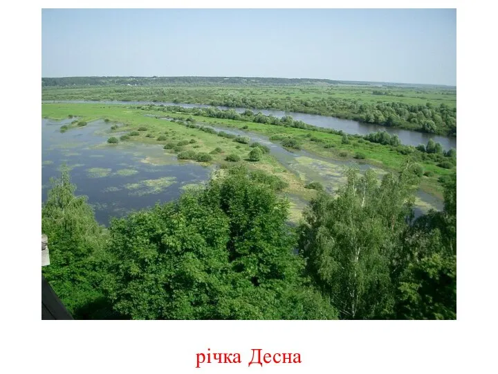 річка Десна