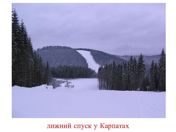 лижний спуск у Карпатах