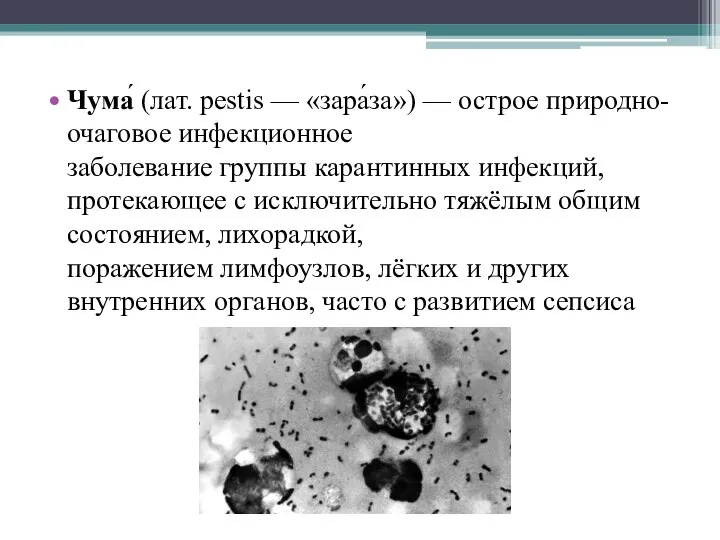 Чума́ (лат. pestis — «зара́за») — острое природно-очаговое инфекционное заболевание группы