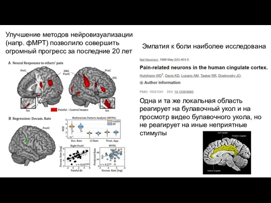 Одна и та же локальная область реагирует на булавочный укол и