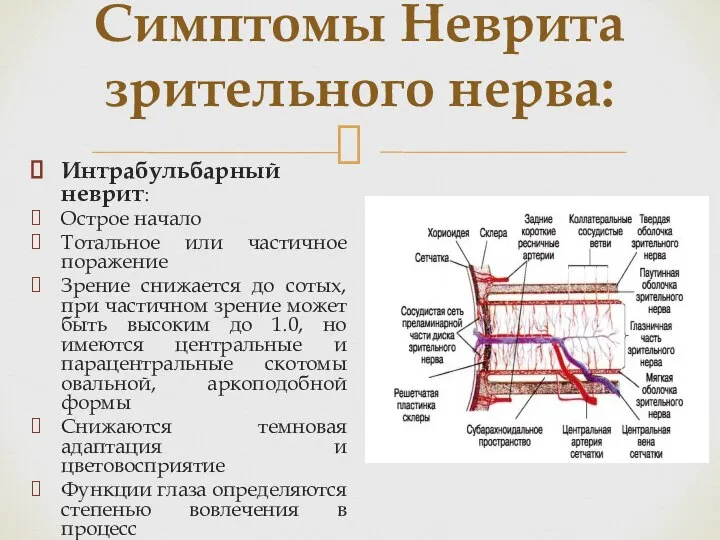 Симптомы Неврита зрительного нерва: Интрабульбарный неврит: Острое начало Тотальное или частичное