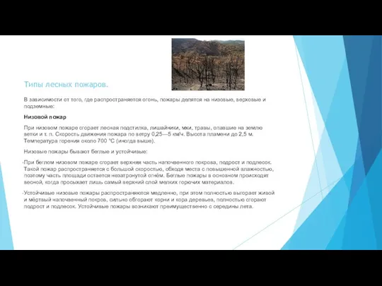 Типы лесных пожаров. В зависимости от того, где распространяется огонь, пожары