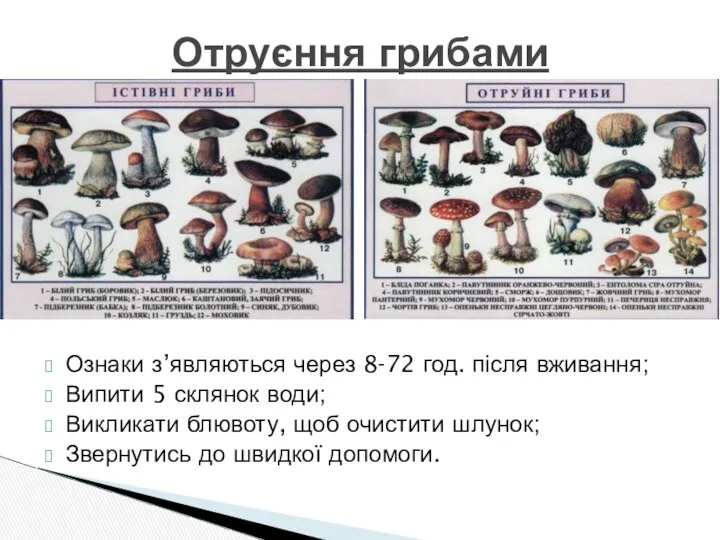 Отруєння грибами Ознаки з’являються через 8-72 год. після вживання; Випити 5
