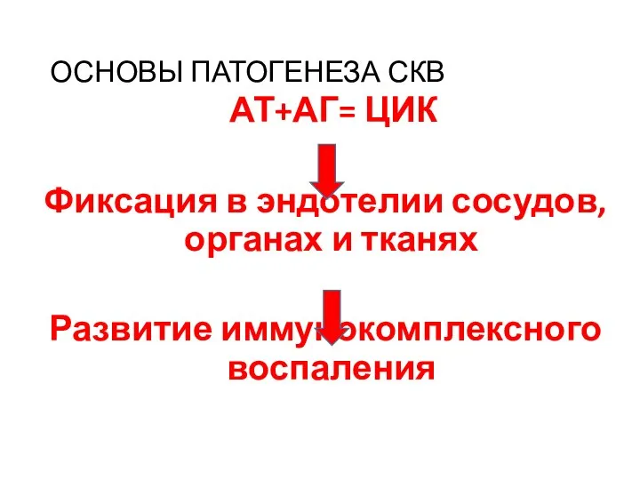 ОСНОВЫ ПАТОГЕНЕЗА СКВ АТ+АГ= ЦИК Фиксация в эндотелии сосудов, органах и тканях Развитие иммунокомплексного воспаления