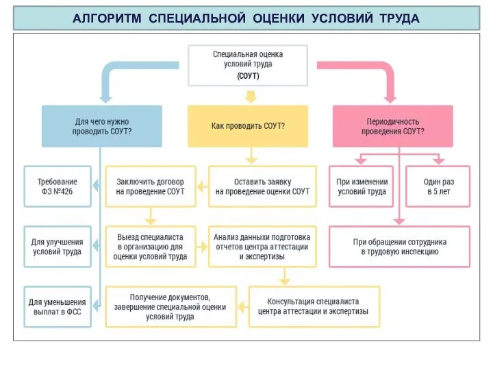 АЛГОРИТМ СПЕЦИАЛЬНОЙ ОЦЕНКИ УСЛОВИЙ ТРУДА