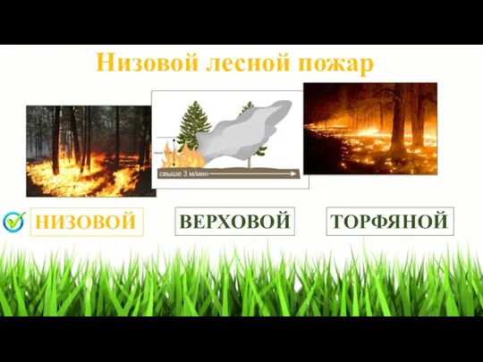 Низовой лесной пожар ВЕРХОВОЙ ТОРФЯНОЙ НИЗОВОЙ