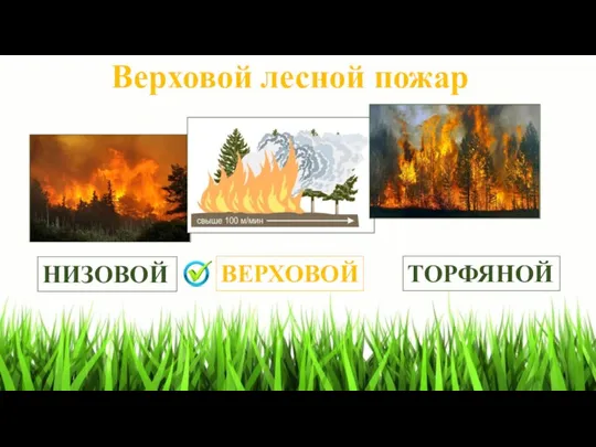 Верховой лесной пожар ВЕРХОВОЙ ТОРФЯНОЙ НИЗОВОЙ