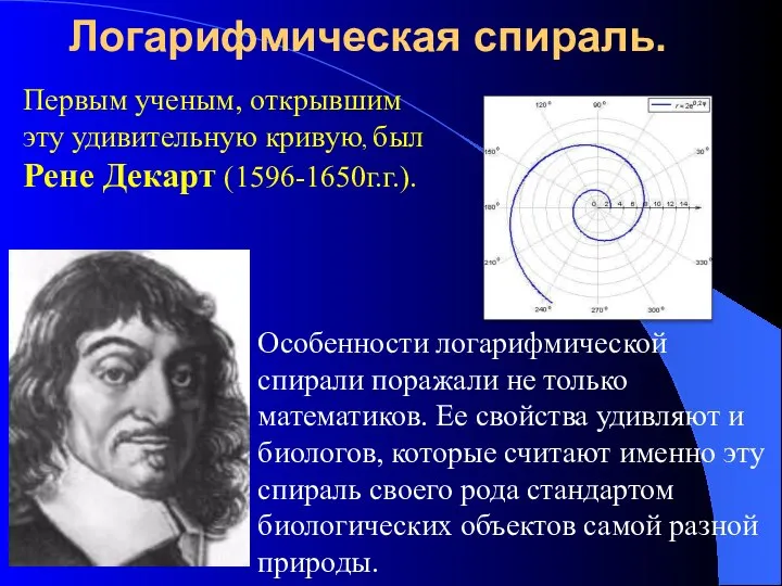 Логарифмическая спираль. Первым ученым, открывшим эту удивительную кривую, был Рене Декарт