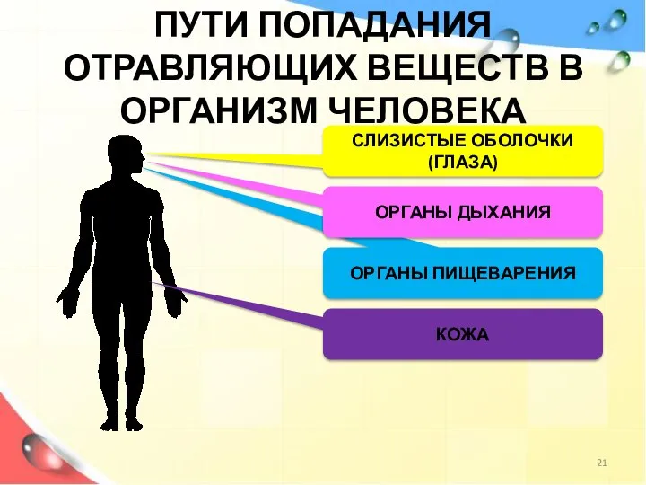 ОРГАНЫ ПИЩЕВАРЕНИЯ ПУТИ ПОПАДАНИЯ ОТРАВЛЯЮЩИХ ВЕЩЕСТВ В ОРГАНИЗМ ЧЕЛОВЕКА ОРГАНЫ ДЫХАНИЯ СЛИЗИСТЫЕ ОБОЛОЧКИ (ГЛАЗА) КОЖА