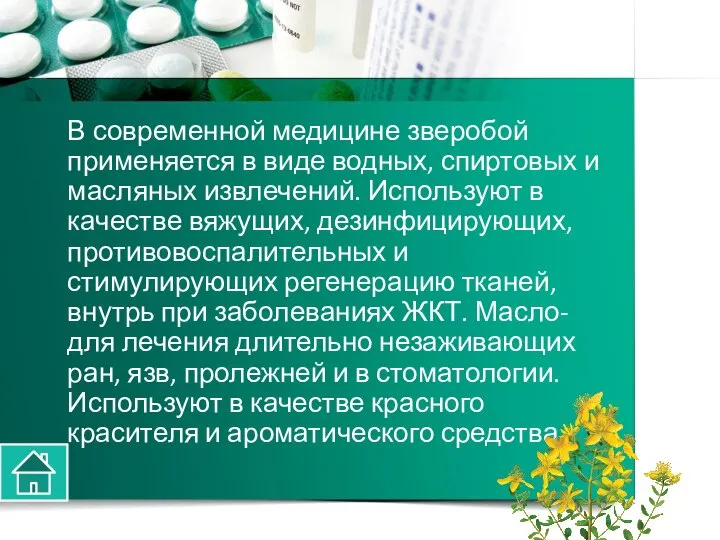 В современной медицине зверобой применяется в виде водных, спиртовых и масляных