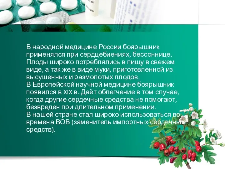 В народной медицине России боярышник применялся при сердцебиениях, бессоннице. Плоды широко