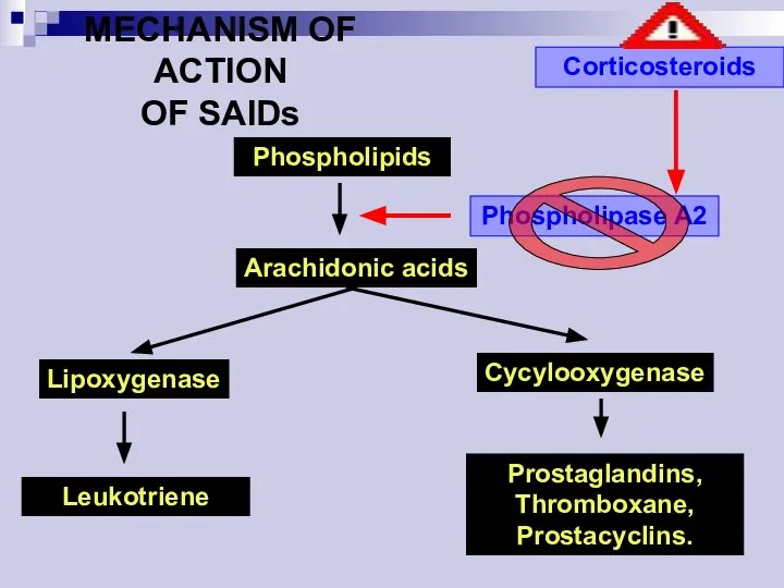 Phospholipids Arachidonic acids Lipoxygenase Cycylooxygenase Leukotriene Prostaglandins, Thromboxane, Prostacyclins. Phospholipase A2