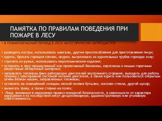 ПАМЯТКА ПО ПРАВИЛАМ ПОВЕДЕНИЯ ПРИ ПОЖАРЕ В ЛЕСУ В ПОЖАРООПАСНЫЙ ПЕРИОД