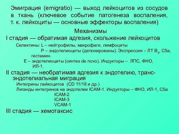 Эмиграция (emigratio) — выход лейкоцитов из сосудов в ткань (ключевое событие