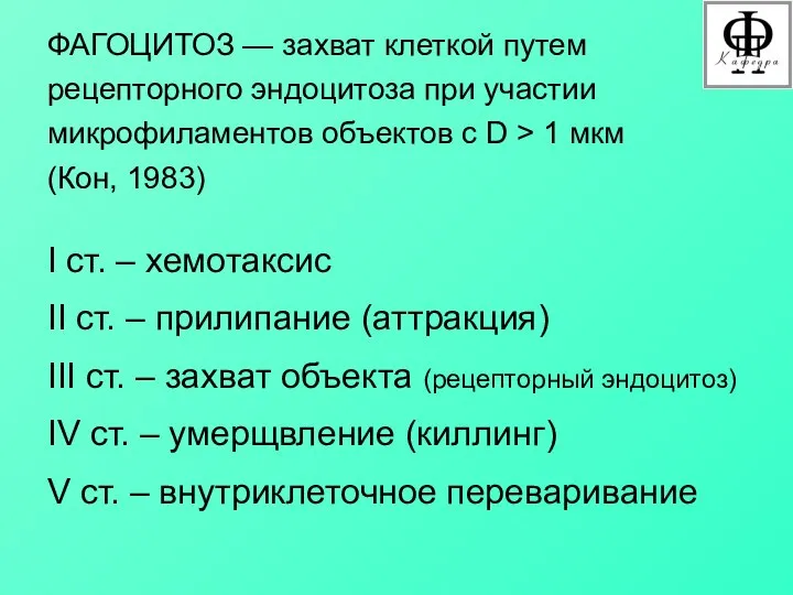 ФАГОЦИТОЗ — захват клеткой путем рецепторного эндоцитоза при участии микрофиламентов объектов