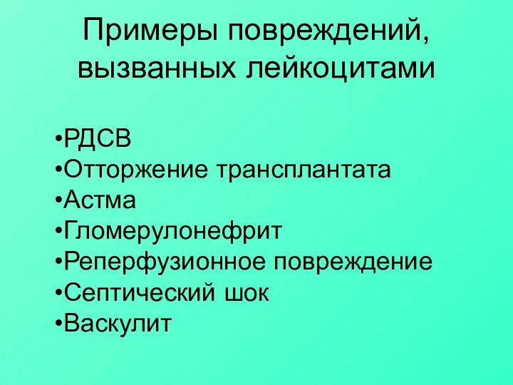 Примеры повреждений, вызванных лейкоцитами РДСВ Отторжение трансплантата Астма Гломерулонефрит Реперфузионное повреждение Септический шок Васкулит