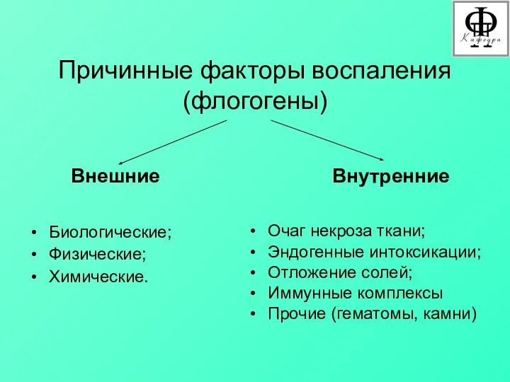 Причинные факторы воспаления (флогогены) Внешние Внутренние Очаг некроза ткани; Эндогенные интоксикации;