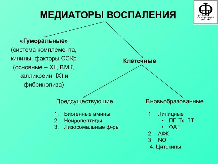 МЕДИАТОРЫ ВОСПАЛЕНИЯ «Гуморальные» (система комплемента, кинины, факторы ССКр (основные – XII,