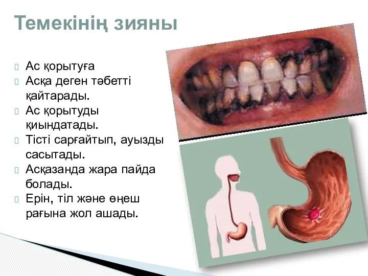 Ас қорытуға Асқа деген тәбетті қайтарады. Ас қорытуды қиындатады. Тісті сарғайтып,