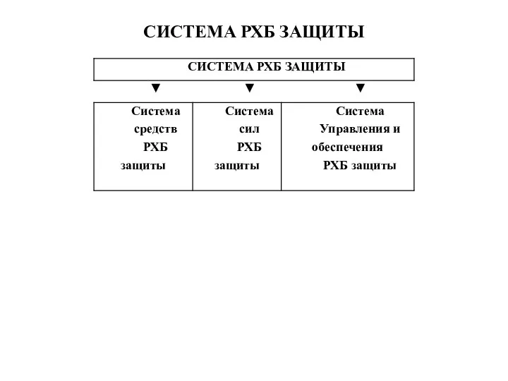 СИСТЕМА РХБ ЗАЩИТЫ