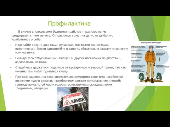 Профилактика В случае с клещевыми болезнями работает правило: легче предупредить, чем