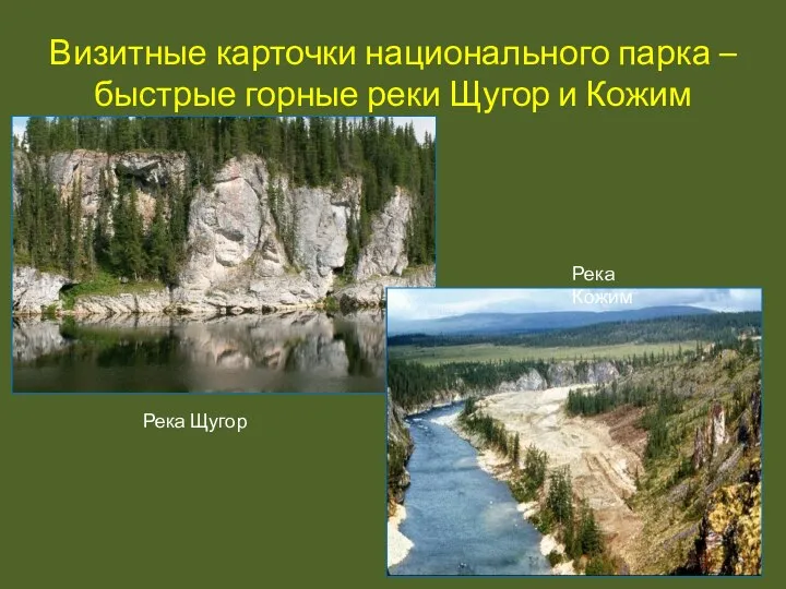 Визитные карточки национального парка –быстрые горные реки Щугор и Кожим Река Щугор Река Кожим