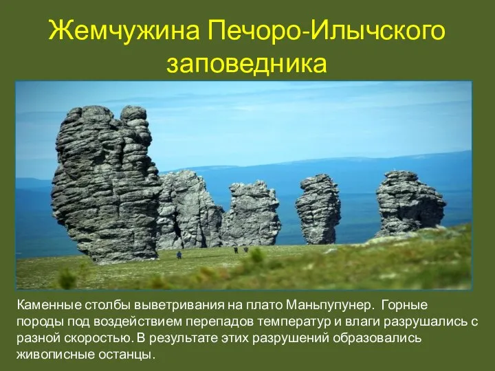 Жемчужина Печоро-Илычского заповедника Каменные столбы выветривания на плато Маньпупунер. Горные породы