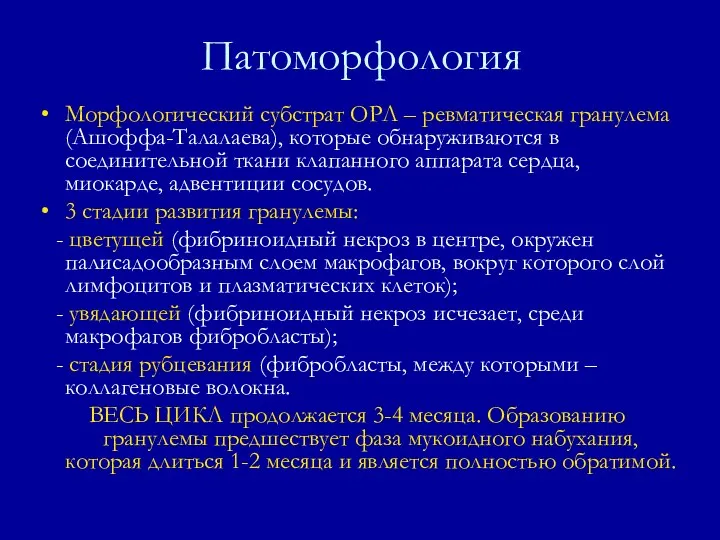 Патоморфология Морфологический субстрат ОРЛ – ревматическая гранулема (Ашоффа-Талалаева), которые обнаруживаются в