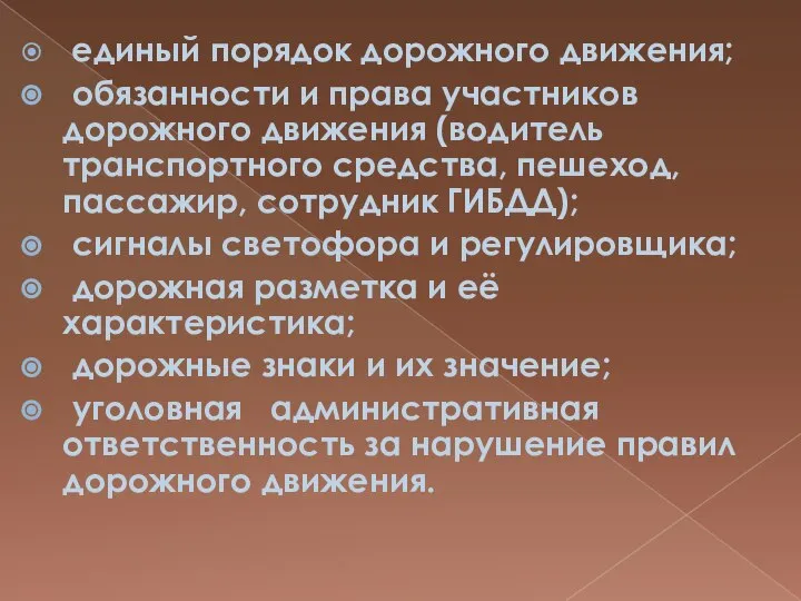 единый порядок дорожного движения; обязанности и права участников дорожного движения (водитель