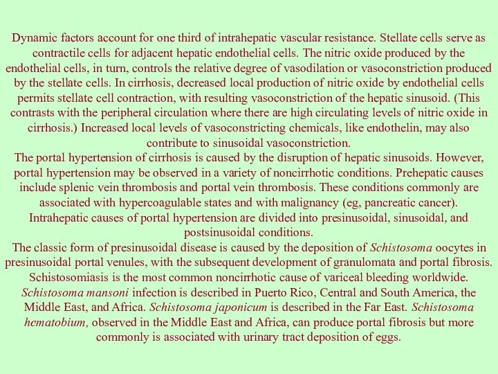 Dynamic factors account for one third of intrahepatic vascular resistance. Stellate