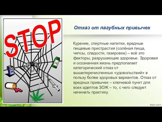 Отказ от пагубных привычек Курение, спиртные напитки, вредные пищевые пристрастия (солёная