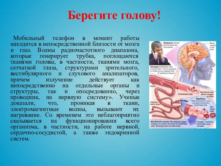 Берегите голову! Мобильный телефон в момент работы находится в непосредственной близости