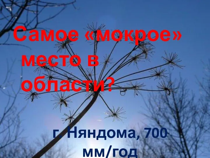 Самое «мокрое» место в области? г. Няндома, 700 мм/год