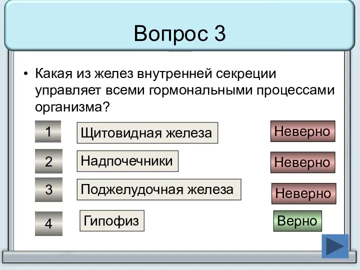 Вопрос 3 Какая из желез внутренней секреции управляет всеми гормональными процессами