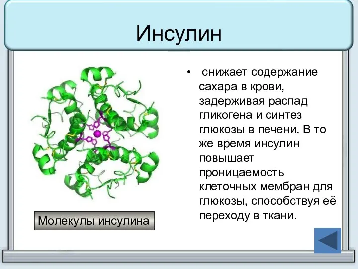 Инсулин снижает содержание сахара в крови, задерживая распад гликогена и синтез