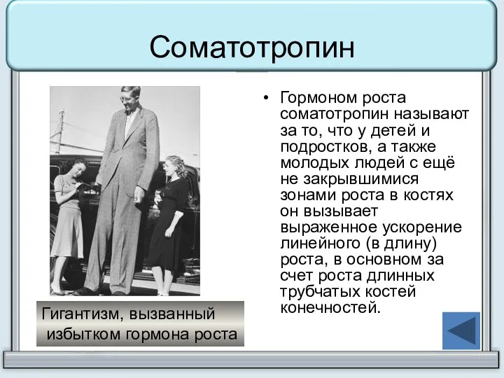 Соматотропин Гормоном роста соматотропин называют за то, что у детей и