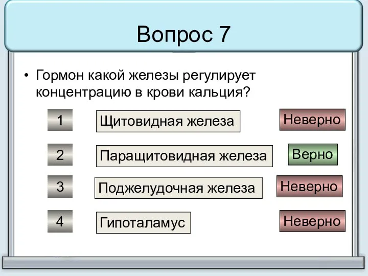 Вопрос 7 Гормон какой железы регулирует концентрацию в крови кальция? Щитовидная