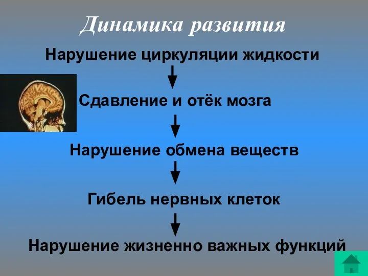 Динамика развития Нарушение циркуляции жидкости Сдавление и отёк мозга Нарушение обмена