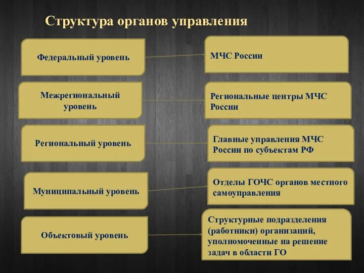 Структура органов управления Федеральный уровень Межрегиональный уровень Региональный уровень Муниципальный уровень