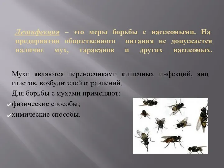 Дезинфекция – это меры борьбы с насекомыми. На предприятии общественного питания