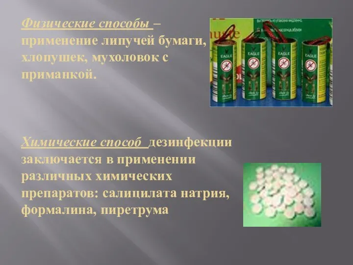 Физические способы – применение липучей бумаги, хлопушек, мухоловок с приманкой. Химические