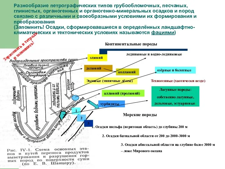 Разнообразие петрографических типов грубообломочных, песчаных, глинистых, органогенных и органогенно-минеральных осадков и