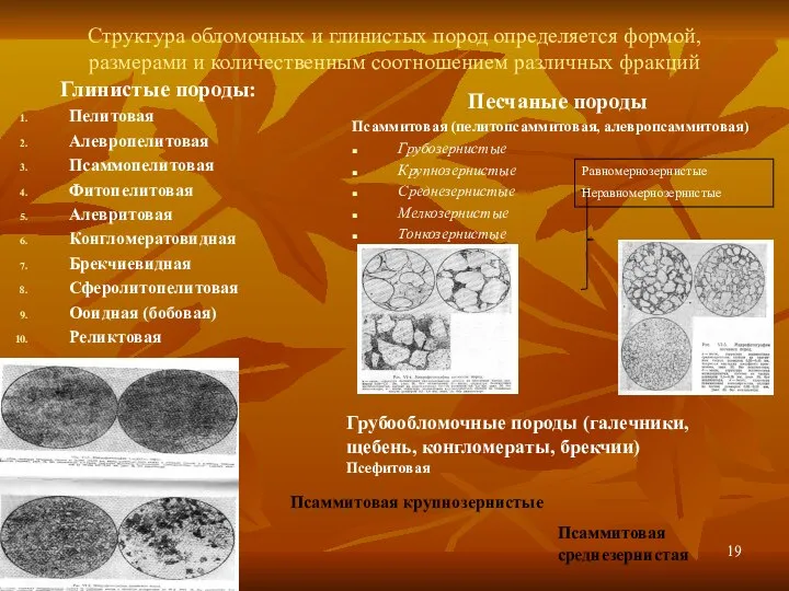 Структура обломочных и глинистых пород определяется формой, размерами и количественным соотношением