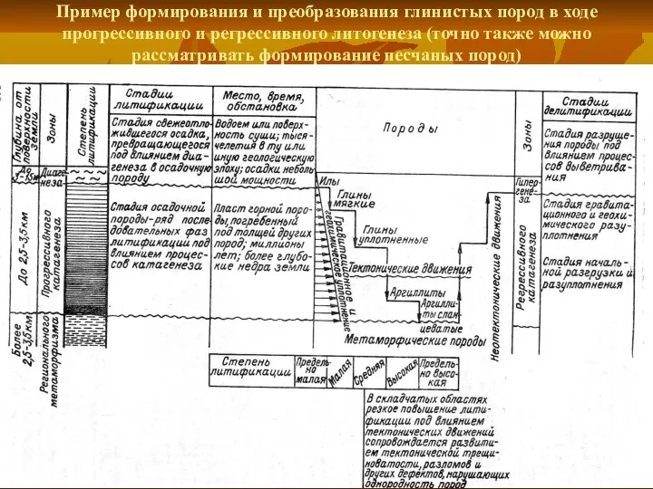 Пример формирования и преобразования глинистых пород в ходе прогрессивного и регрессивного