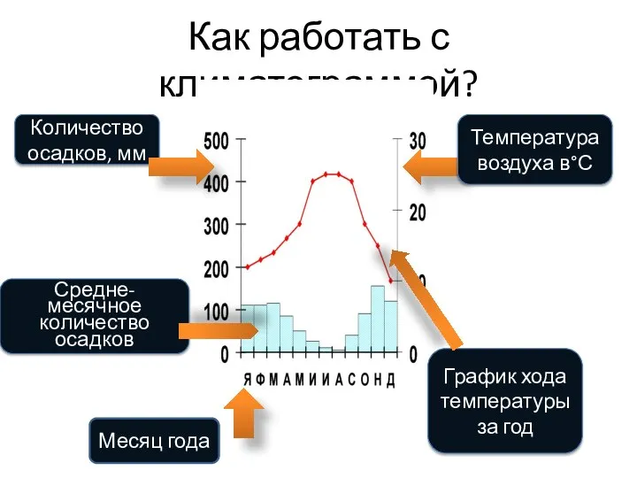 Как работать с климатограммой? Количество осадков, мм Температура воздуха в°С Месяц