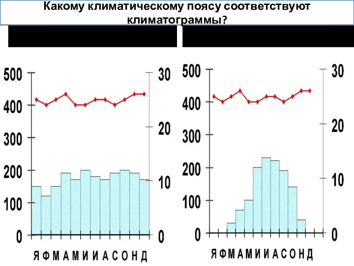 Какому климатическому поясу соответствуют климатограммы?