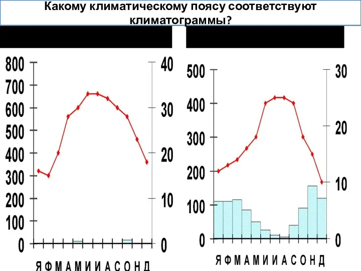 Какому климатическому поясу соответствуют климатограммы?