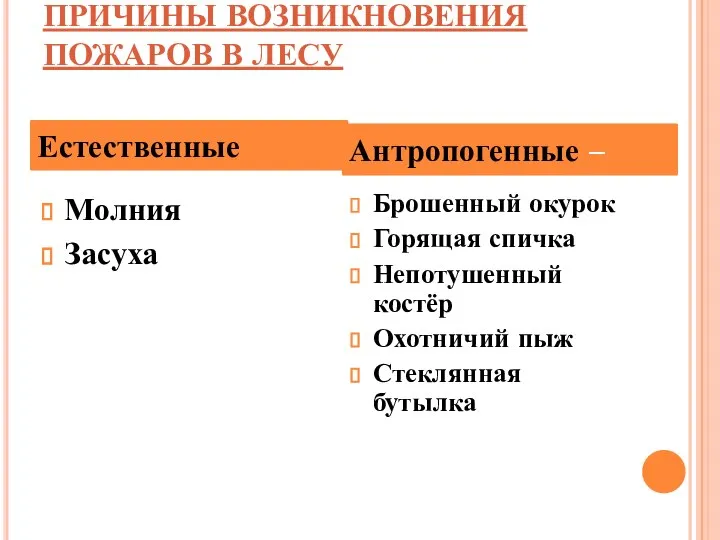 ПРИЧИНЫ ВОЗНИКНОВЕНИЯ ПОЖАРОВ В ЛЕСУ Молния Засуха Брошенный окурок Горящая спичка